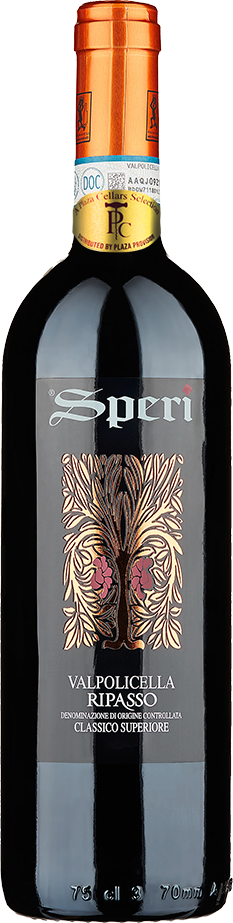 Speri, Ripasso Classico Sup DOC, 2020 | La Boutique Du Vin
